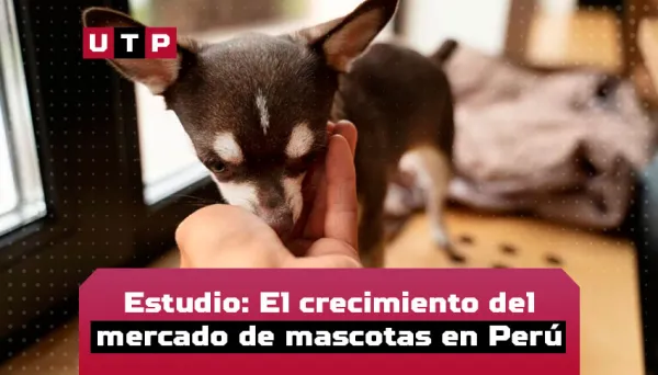 crecimiento de mercado de mascotas