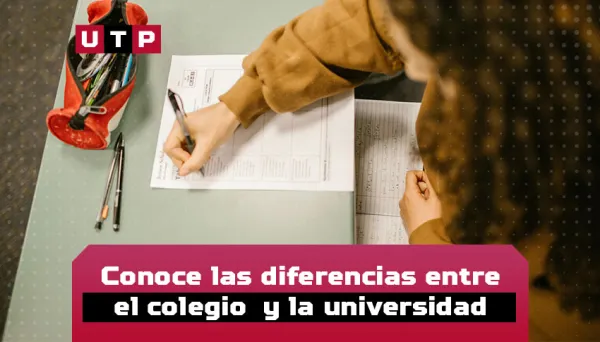 diferencia entre colegio universidad