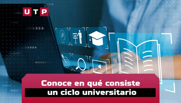 que es un ciclo en la universidad