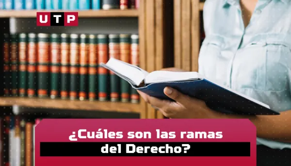 ramas del derecho