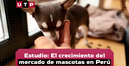 crecimiento de mercado de mascotas