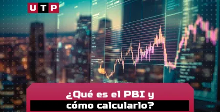 que es pbi