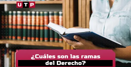 ramas del derecho