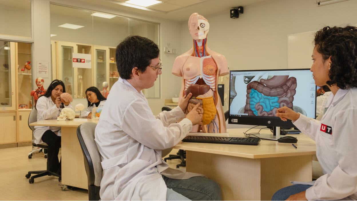 Laboratorio de organización y función del cuerpo humano