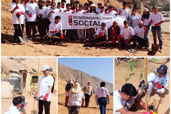 Estudiantes de UTP Ate participaron en una nueva jornada de arborización